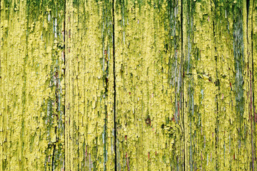 Old wooden green background with paint cracked from time to time. Vintage background