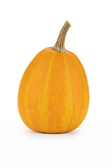 Einzelner Kürbis auf weißem Hintergrund als Dekoration zu Halloween