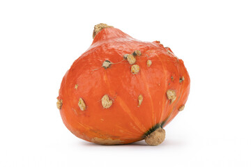 Einzelner Kürbis auf weißem Hintergrund als Dekoration zu Halloween