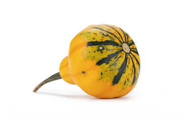 Einzelner Kürbis auf weißem Hintergrund als Dekoration zu Halloween