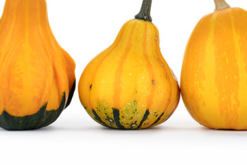Verschiedene Kürbisse auf weißem Hintergrund als Dekoration zu Halloween