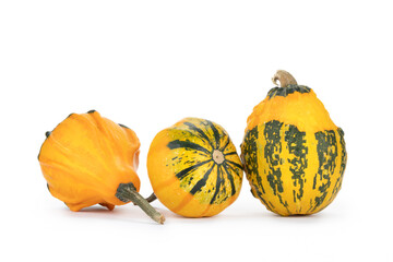 Verschiedene Kürbisse auf weißem Hintergrund als Dekoration zu Halloween