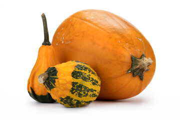 Verschiedene Kürbisse auf weißem Hintergrund als Dekoration zu Halloween