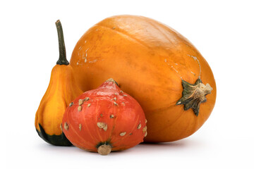 Verschiedene Kürbisse auf weißem Hintergrund als Dekoration zu Halloween