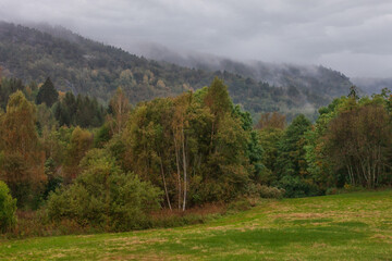 Fototapeta premium The nature of foggy autumn in the Norway Mountains