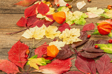 Colorful fall leaves on old wooden boards