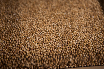 Production line pharmaceutical industry. Manufacturing of drugs and medications, pharmaceuticals.