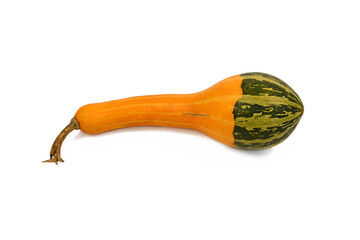 Yellow and green crookneck gourd on white background