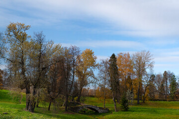 Landscape of late autumn. Bare and colored trees on a hilly landscape, beautiful scenic background. Natural paints. Beautiful view.