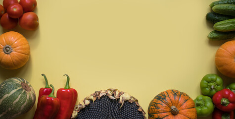 Fresh raw vegetables: tomatoes, cucumbers, squash, pumpkins, peppers and paprikas and sunflower on...