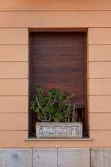 A flower in a pot on a window with shutters. Exterior. Close-up. Vertical.