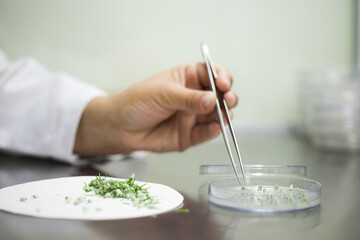 Production line pharmaceutical industry. Manufacturing of drugs and medications, pharmaceuticals.