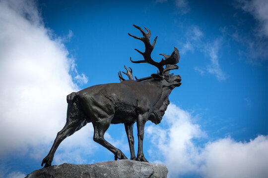 Moose Statue at the Newfoundland memorial in the Somme France. Blue sky high contrast. 