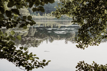 View of the Krebssee in Germany in summer