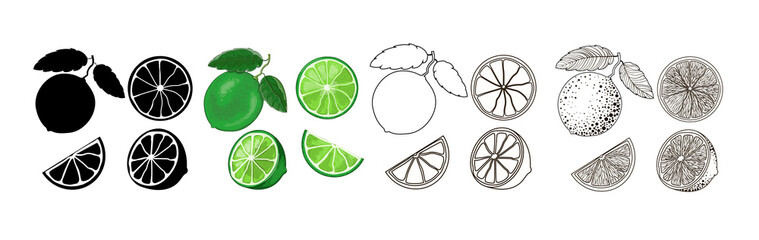 Four sets of limes - black silhouette, cartoon, doodle and outline style. One lime on a branch with two leaves, half and two slices isolated on a white background. Vector