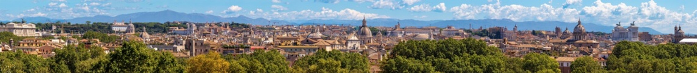 Fototapeta na wymiar Rome - The panorama of the city.