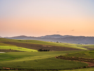 Lush green rolling hills of Caledon during sunset in Western Cape South Africa