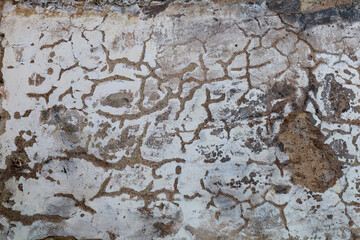 Rough surface of an old destroyed grunge wall. Textured background. Blank for design. Underlay or...