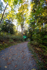 Fototapeta premium British Columbia Cascades