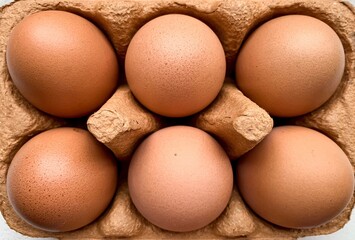 Half of dozen of brown organic free range eggs in recycling carton box. Selective focus. Close up. 