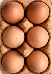 Half of dozen of brown organic free range eggs in recycling carton box. Selective focus. Close up. 
