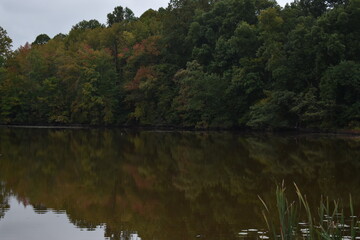 Autumn trees reflecting on the water