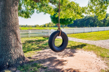 Tire Swing on the Farm