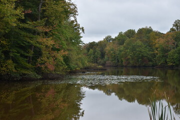 Fototapeta na wymiar Autumn trees reflecting on the water