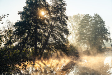 Drzewa nad rzeką, światło we mgle, rzeka Czerniawka, Staw w Białej, gmina Zgierz