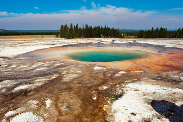 Geyser activity in Yellowstone National Park.