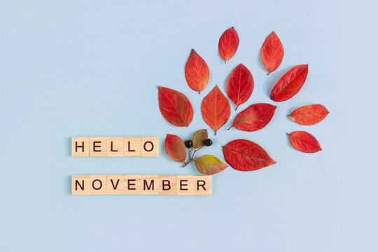 Words Hello November on wooden blocks with lettering and red leaves with black berries on blue background. Minimal autumn concept