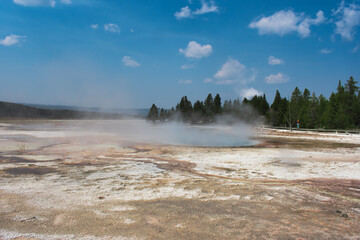 Geyser activity in Yellowstone National Park.