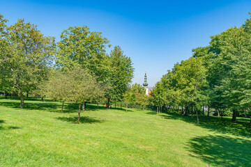 Lush green grass lawn landscaped with foliage rich trees casting shadows on ground with tower in distance.