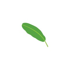 Banana leaf icon