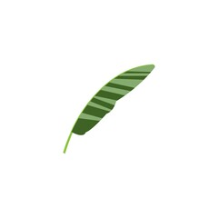Banana leaf icon