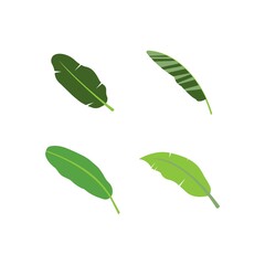 Banana leaf icon