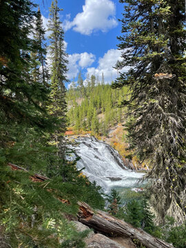 Lewis Falls, Yellowstone