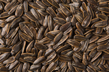 close up of roasted sunflower seeds background.