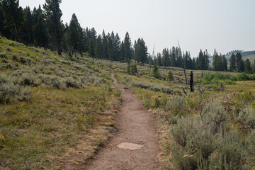 Trail along the begining of the Wraith Falls hike in Yellowstone National Park