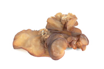 Wood ear mushroom (Jew's Ear Mushroom) islated on white background.