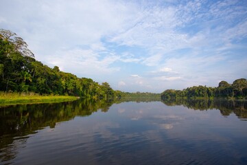 Fototapeta na wymiar Lago en la selva tambopata perú