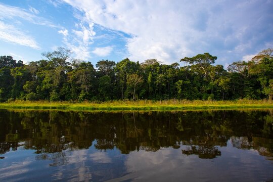 Lago en la selva tambopata per&uacute;