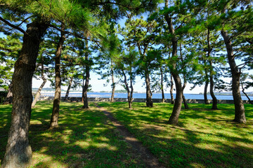 神奈川県横浜市の野島公園