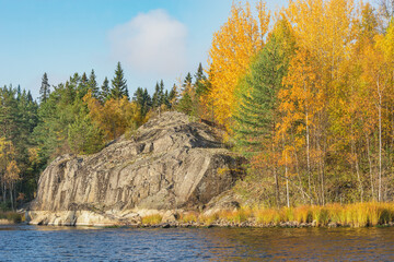 Trees on the cliffs of Lake Ladoga at autumn evening. Republic of Karelia.