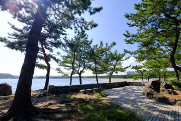 神奈川県横浜市金沢区の海の公園