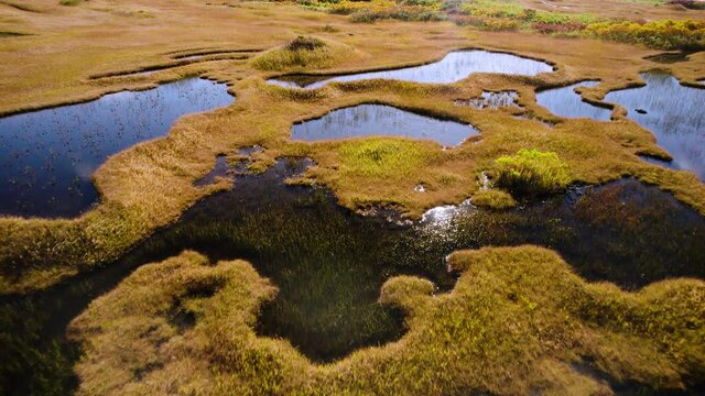 月山弥陀ヶ原湿原の空撮映像