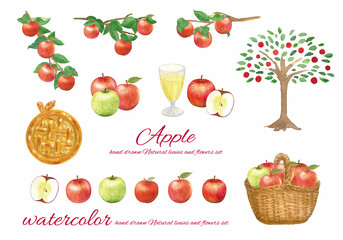 手書きのりんごのイラストセット