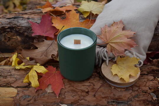 Aura wood wick candle sitting on log with maple leaves and scarf. 