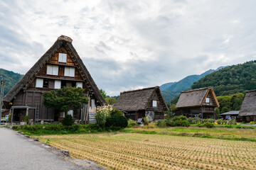 Fototapeta na wymiar 白川郷　秋の茅葺屋根　合掌造りの世界遺産