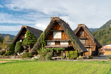 青空の下の白川郷　日本の伝統　合掌造り　茅葺屋根の建物